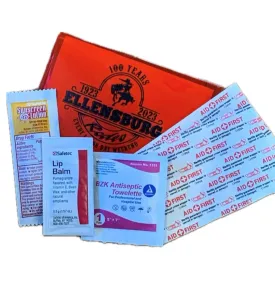 Mini First Aid Kit