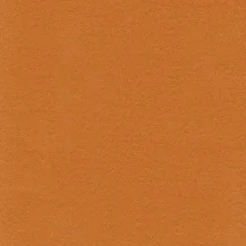 Rust Lightweight Cotton Moleskin