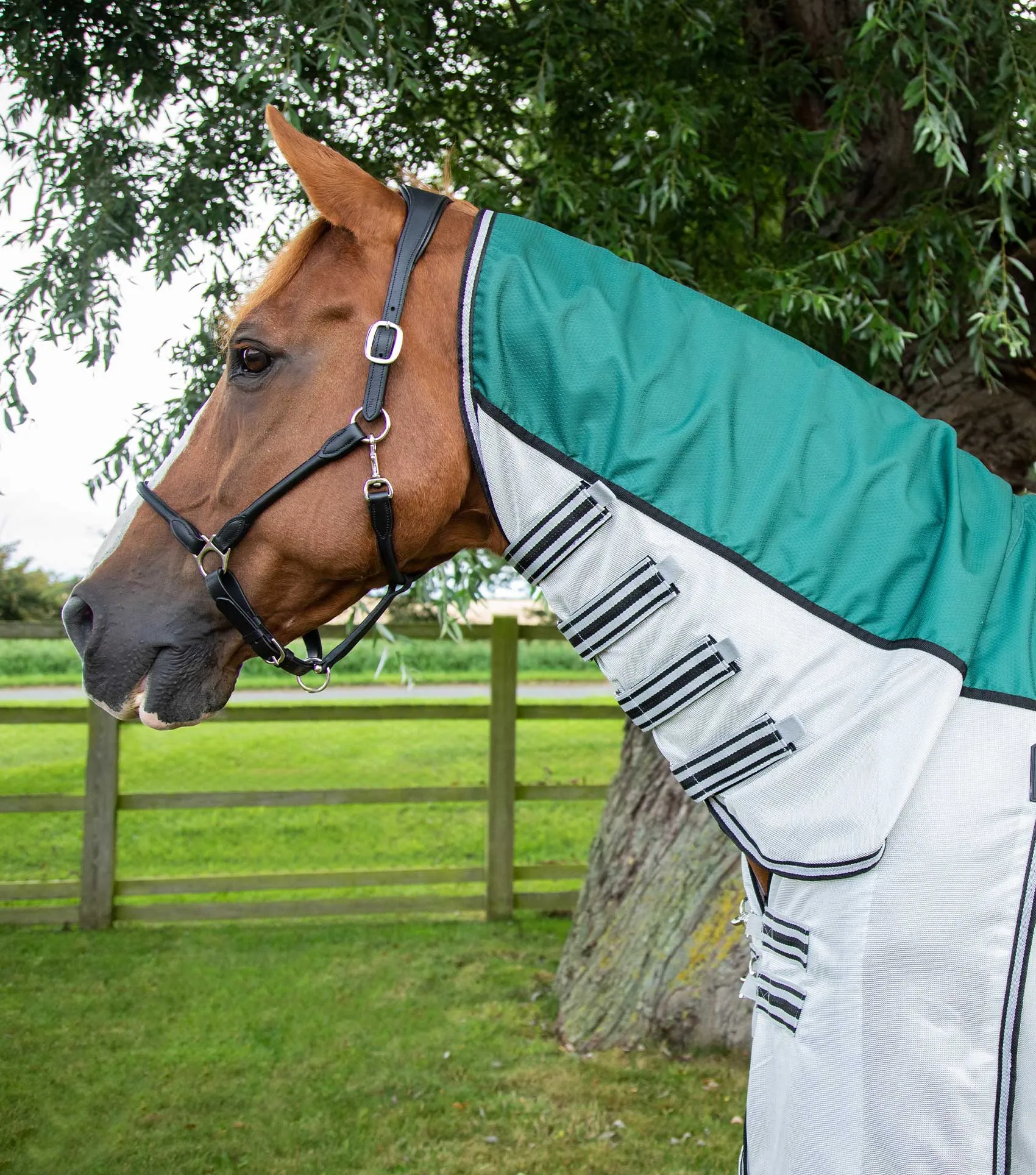 ShowerTex Fly Rug with Surcingles Green